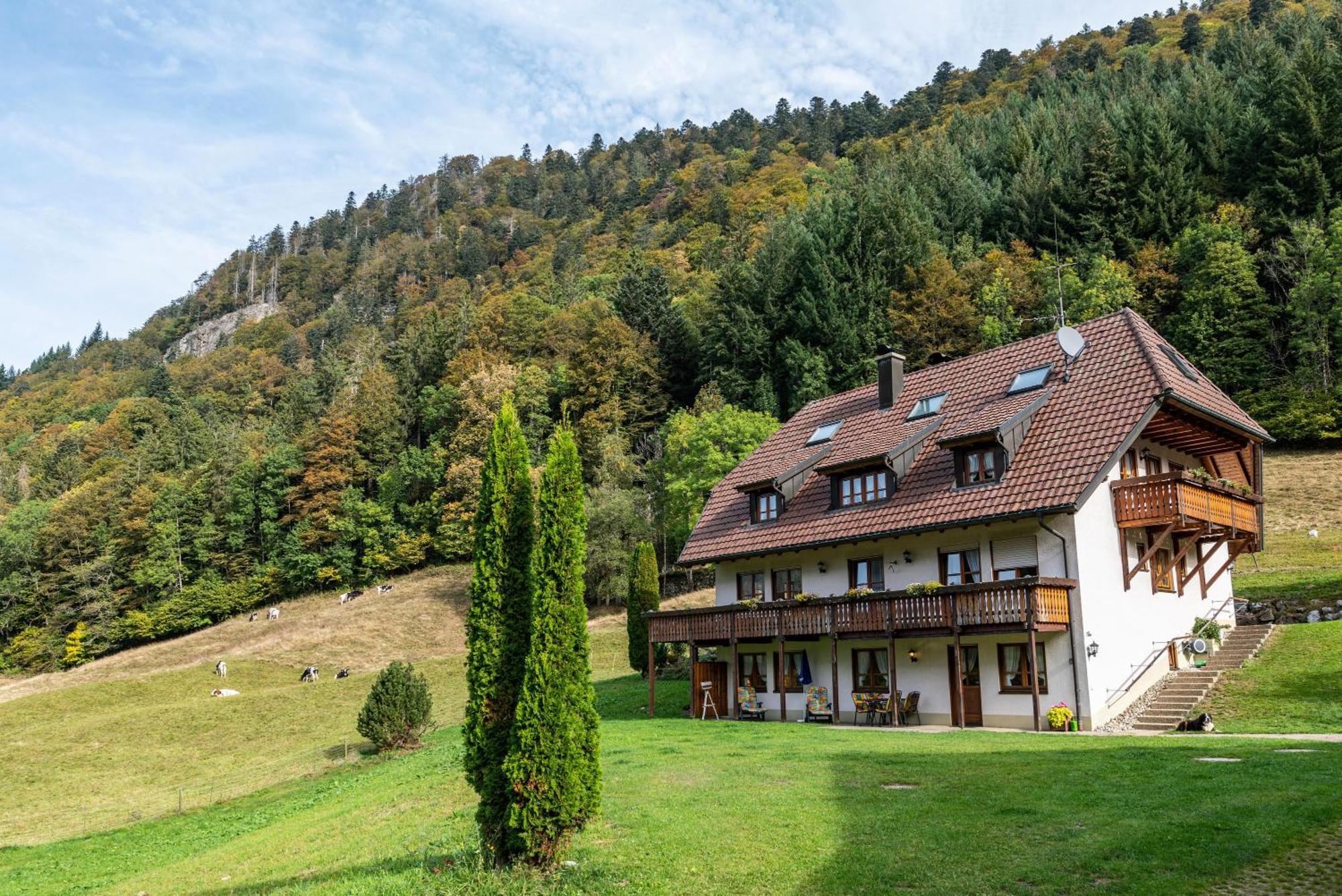 Gasthaus Zur Linde- Napf โอเบอร์รีด ภายนอก รูปภาพ